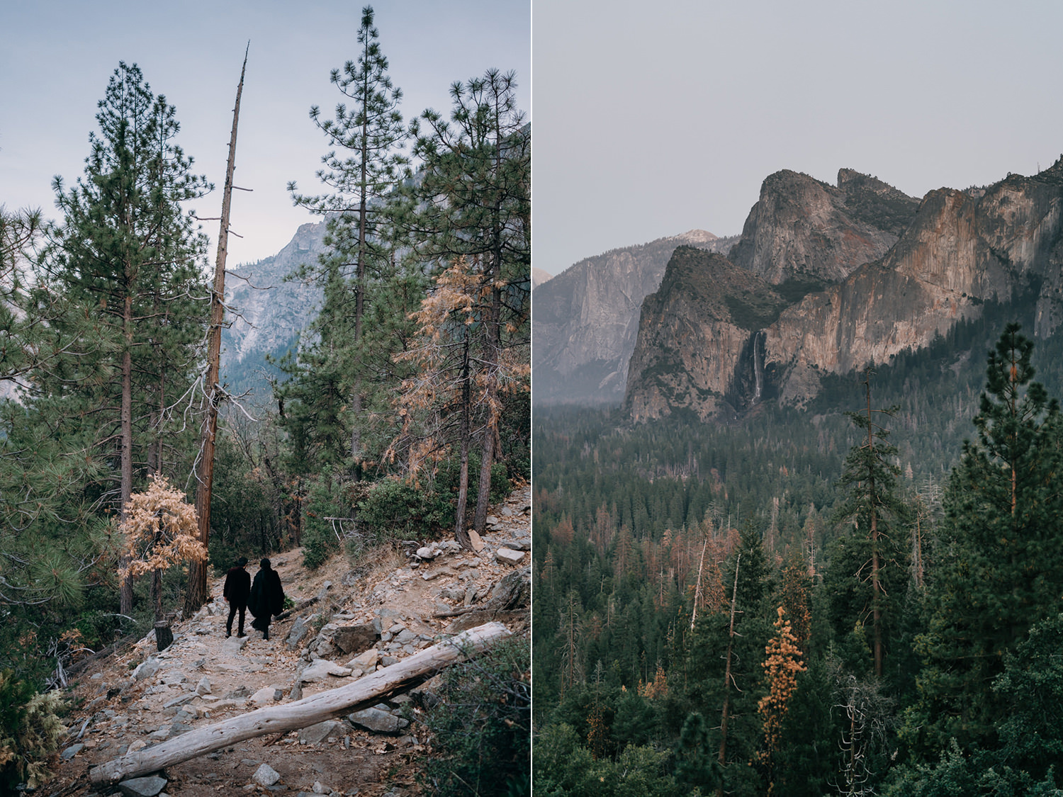 couple yosemite valley